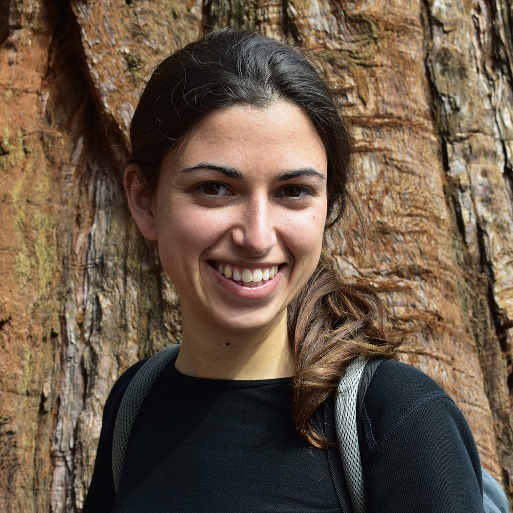Jesusa Capera-Aragones, Ph.D., a CRI Postdoctoral Fellow at the University of Oxford is leveraging her grant to learn more about the physical mechanisms involved in T cell activation.